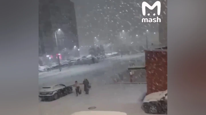 Кадры с первым снегом в Москве и Санкт-Петербурге опубликовали горожане
