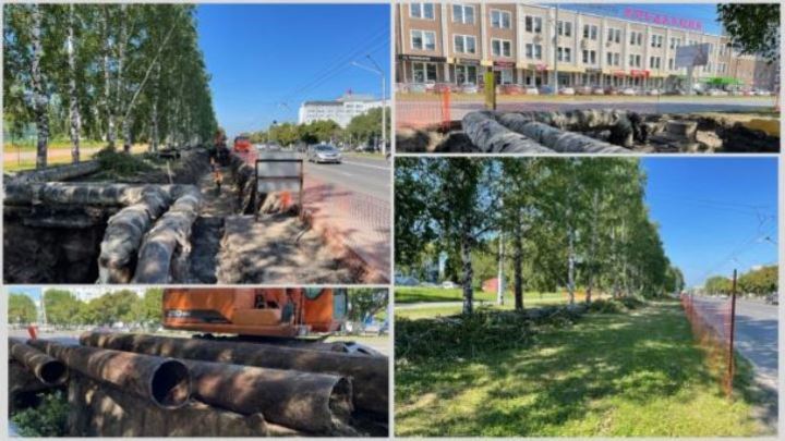 На проспекте Октябрьском в Кемерове вырубили березы
