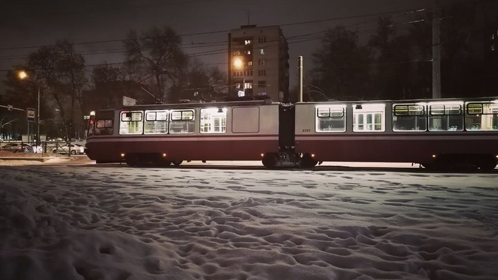 Больничный и синяки кондуктора обернулись для петербургских зайцев уголовным делом