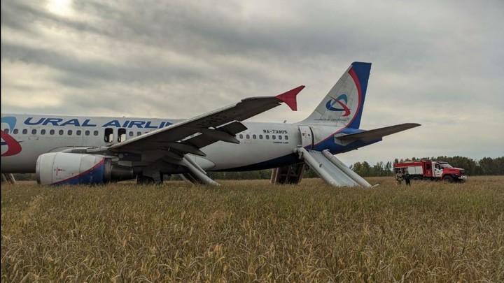 Севший в поле самолёт показал, что пилотам нужно новое обучение. Рекомендацию дала Росавиация