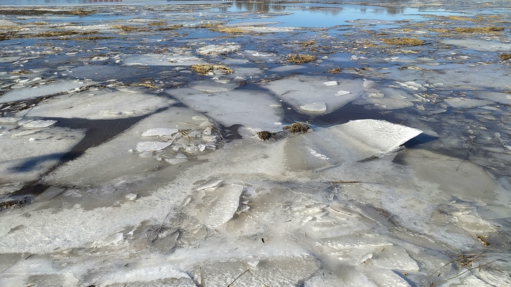 Народные приметы на 22 марта – Сороки: что можно и нельзя делать