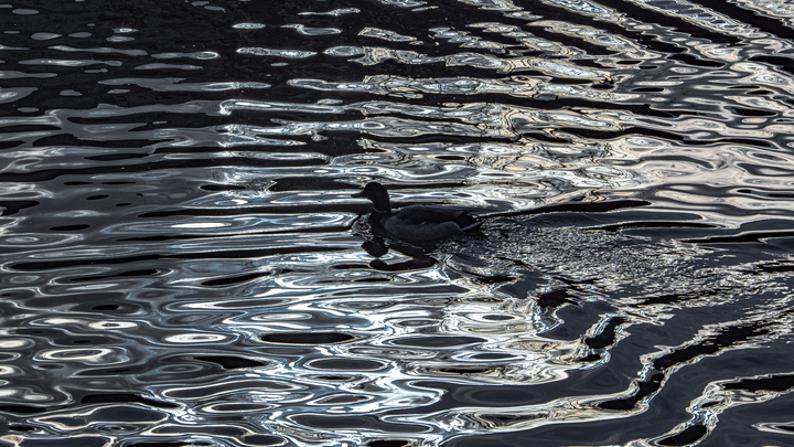 Какой сегодня праздник – на календаре 22 марта