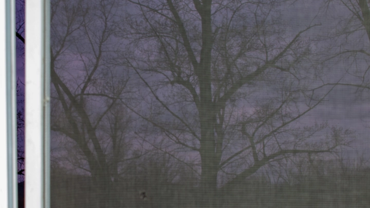 Комариный укус может стать смертельным: что нужно знать каждому русскому этим летом