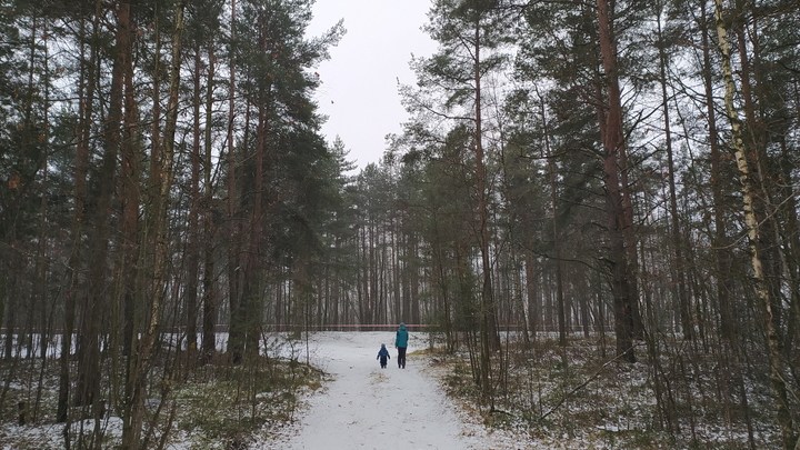 Народные приметы на 24 марта – Ефимов день: что можно и нельзя делать