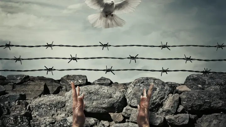 Один шаг - и России не будет: Математик заявил о переломном этапе СВО и дал совет Москве