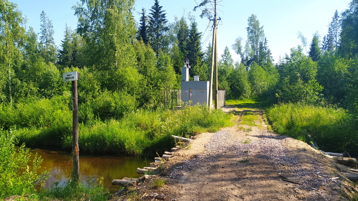 На Кубани до конца лета за поход в лес можно получить штраф