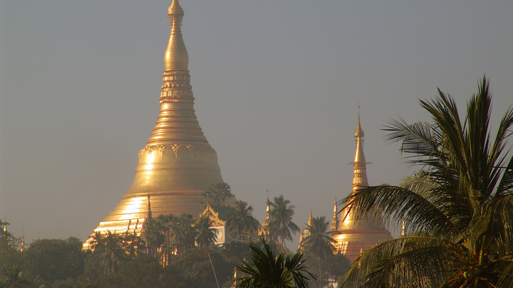 Россия, помоги: Релоканты совсем потеряли совесть