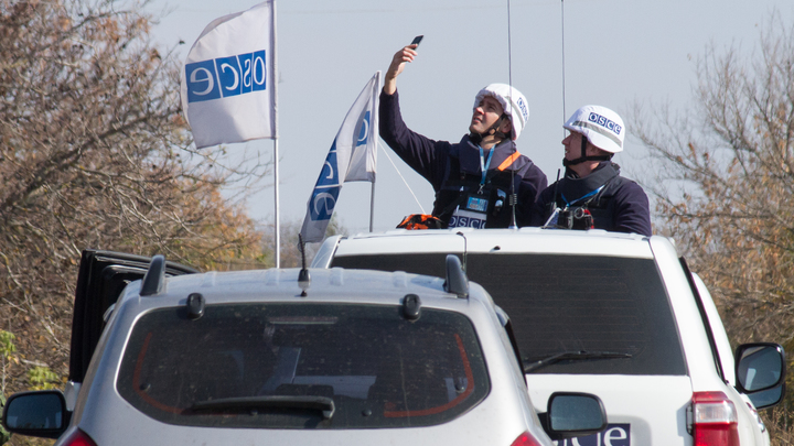 Санкционное приключение сотрудников ОБСЕ довело блогера до слёз: Тогда решили самолётом