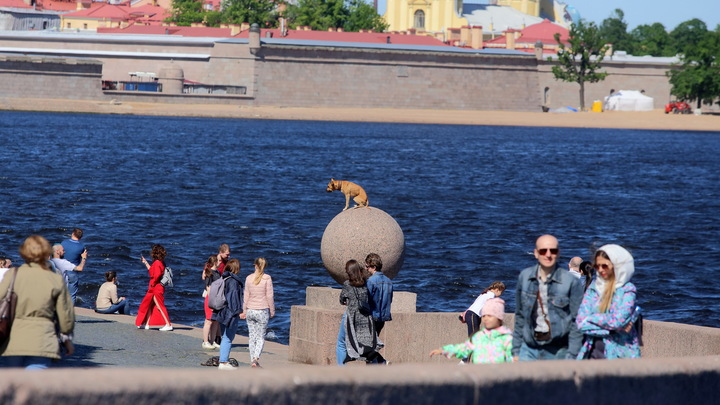 Коронавирус гаснет, а мы его… поддерживаем: Доктор наук об удивительной ситуации в России