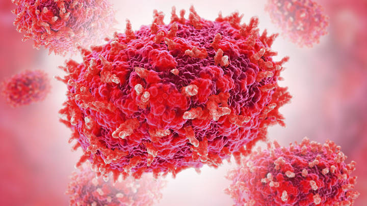 Роспотребнадзор успокоил, что угрозы распространения оспы обезьян в России нет