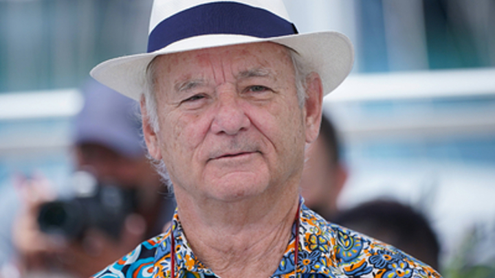 День сурка 2 февраля: на что смотреть, традиция, фильм