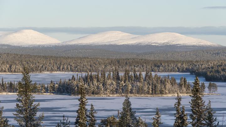 Финский бизнес честно о санкциях против России: Все боятся