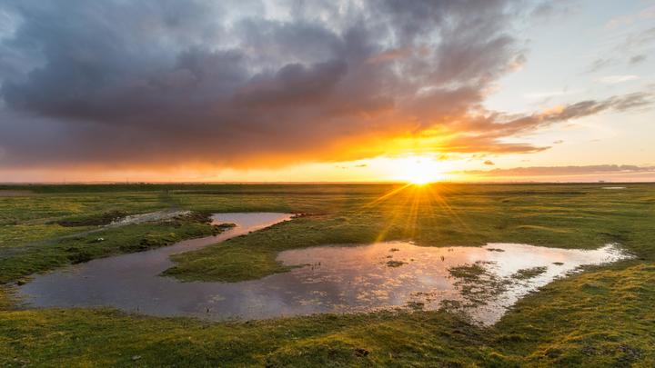 ЕС задумал объявить войну Солнцу. И это не шутка