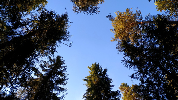 В Кавказском заповеднике закроют все летние маршруты 31 октября