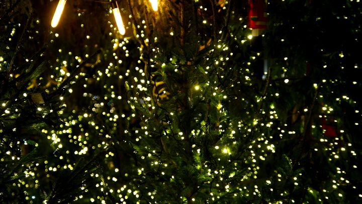 Гирляндам - да, а ёлкам - нет. Как Донецк под обстрелами украшают к Новому году