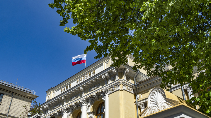 Центробанк и правительство предложили возмещать жителям России убытки от мошенников