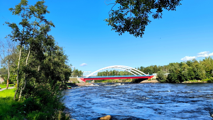 Жителей Петербурга предупредили о наступлении серьезной жары