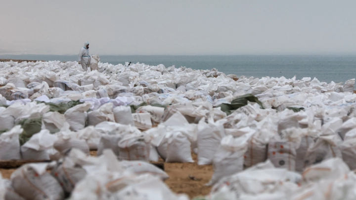 Страшный удар по экосистеме: учёный считает, разлив мазута грозит уничтожением почти всей морской жизни