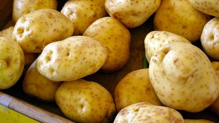 Картошка сама себя не посадит. Жители Херсонщины, рискуя жизнью, начали высадку картофеля