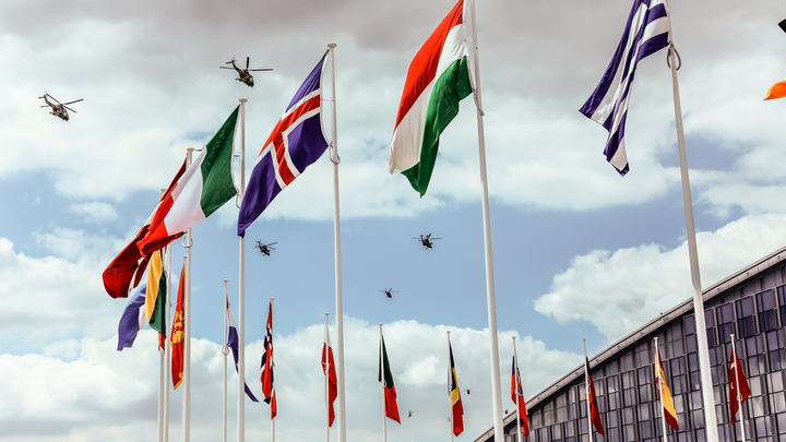 Global Times: НАТО готовится воткнуть ядовитую занозу в Азию