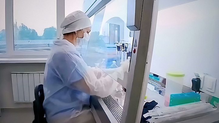 В России взрывной рост спроса на COVID-анализы: Лаборатории еле справляются