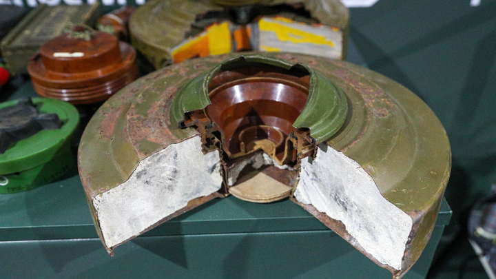 Нашей главной угрозой является Россия: Финляндия заявила о готовности выйти из конвенции по минам