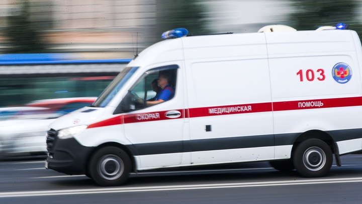В Дзержинске пьяная девушка за рулём машины врезалась в дерево, погиб человек