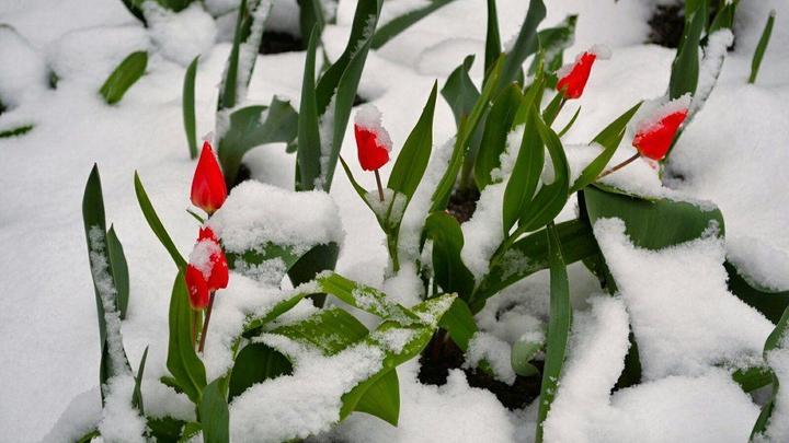 Ураганный ветер и ливень с градом: в Сочи объявили штормовое предупреждение