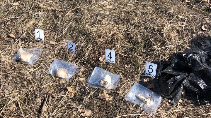 В Самарской области на обочине дороги нашли человеческий череп