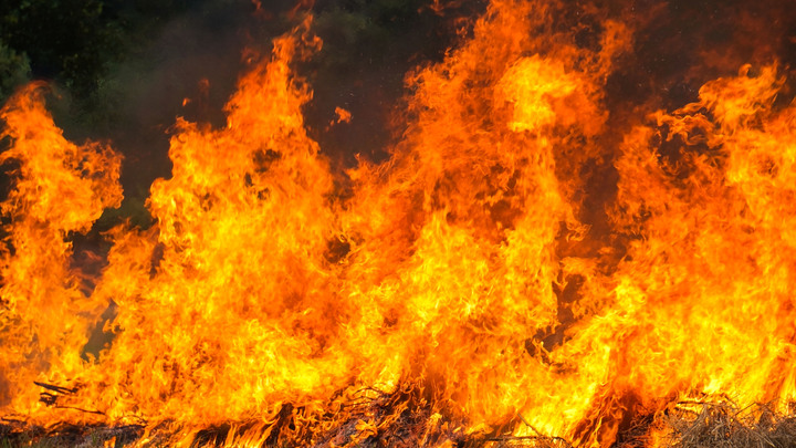 Так выглядит апокалипсис. Трагедия Голливуда - как пир во время чумы