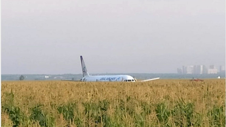 В Уральских авиалиниях рассказали о судьбе севшего на кукурузное поле самолёта: Никому не нужен