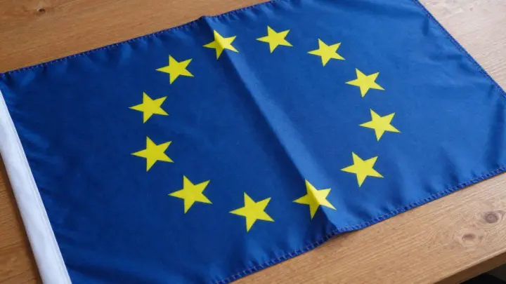 Профессор Петро: сохранение остатков Украины в ЕС сочтут её победой