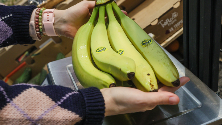 Бананы подешевеют: Россельхознадзор разрешил ввоз эквадорских сортов в Россию