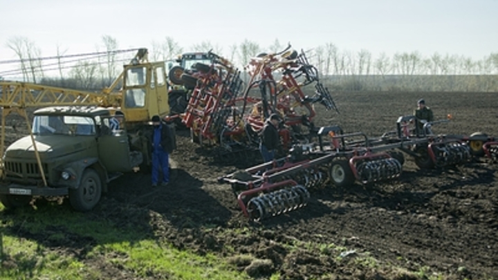 Поля засеяли: Курганская область завершила посевную кампанию