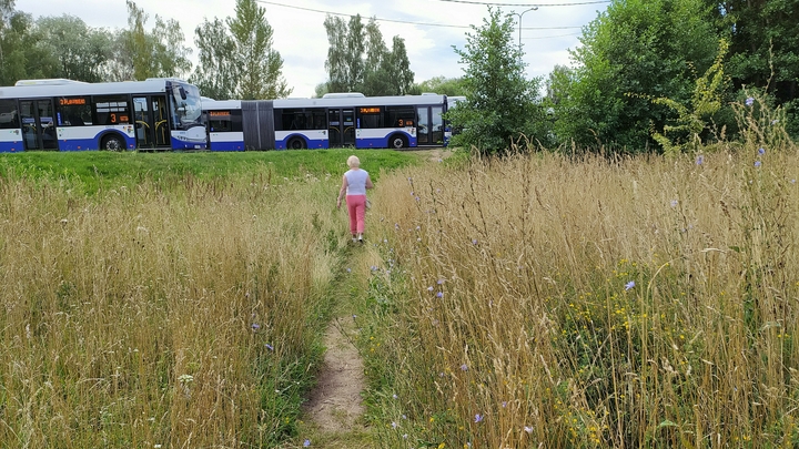 Проезд на общественном транспорте подорожает в Архангельске 2022: когда и на сколько