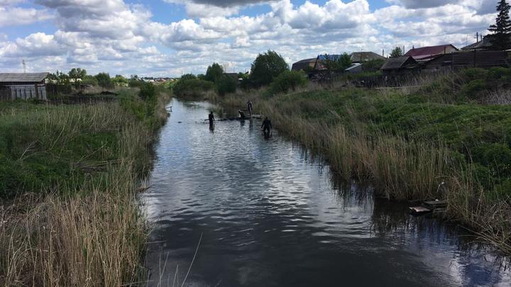 Раскрыто убийство женщины, чье тело нашли в реке в Кургане
