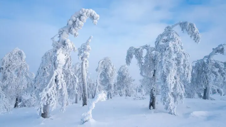 Пора утепляться! На смену снегопадам идут сильные морозы. Москве, Петербургу и другим городам выдано предупреждение