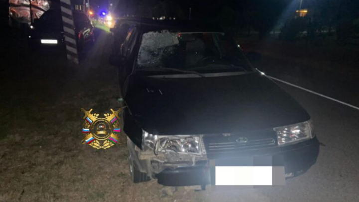 На Кубани водитель ВАЗа насмерть сбил пенсионера на обочине дороги