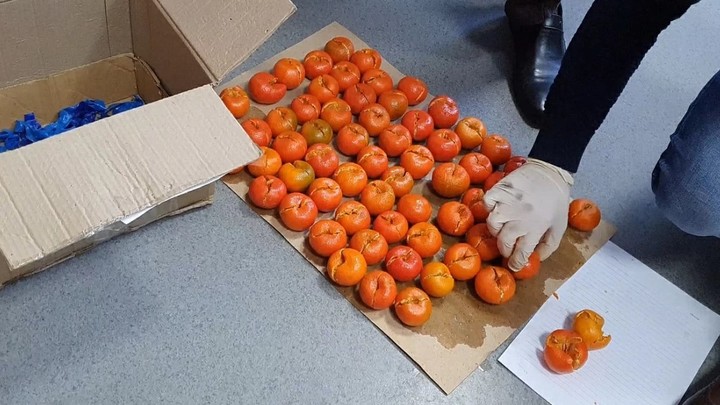 68 мандаринов с мефедроном изъяла полиция в Иванове у двух уроженцев Средней Азии