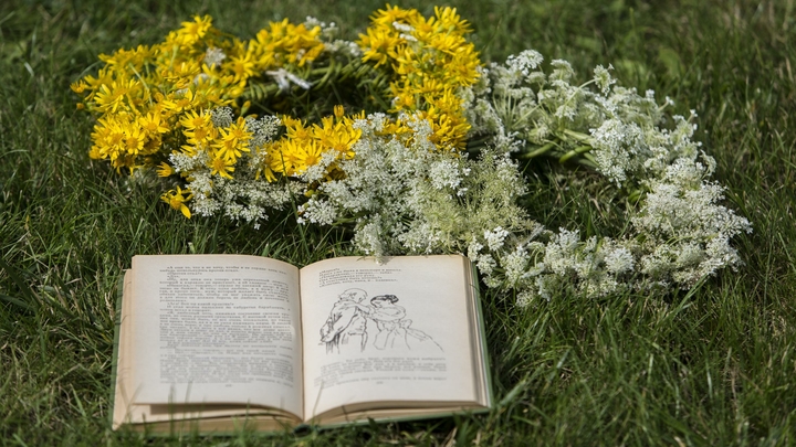 Книжки под кустом: Во Владимире открываются летние читальные залы