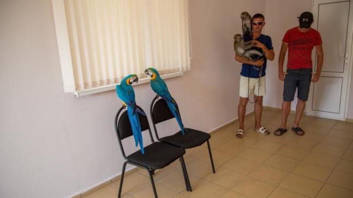 В Анапе у фотоживодеров забрали краснокнижных животных