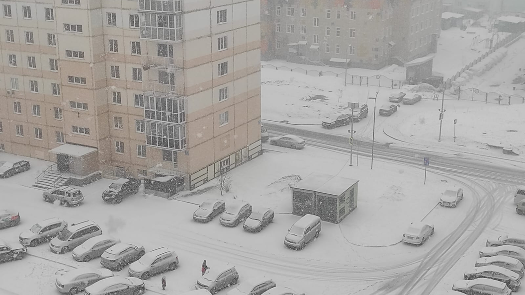 14 апреля новосибирск. Новосибирск зимой. Снегопад фото. Метель в Новосибирске. Новосибирск снег 14 апреля 2023.