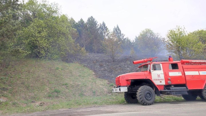 В Челябинской области лесной пожар остановили возле посёлка Вязовая