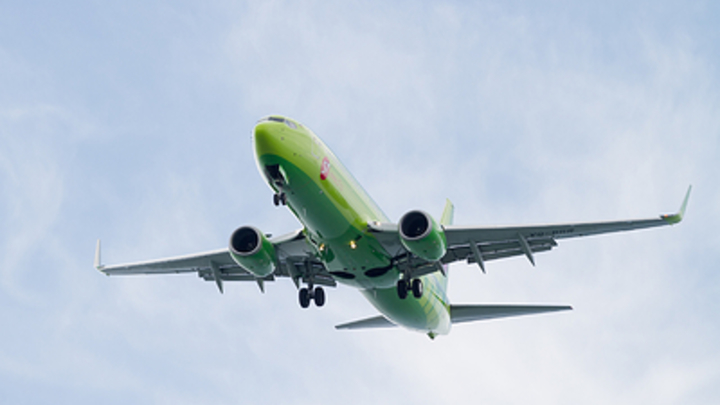 Названа причина крушения самолёта с совладелицей компании S7 на борту