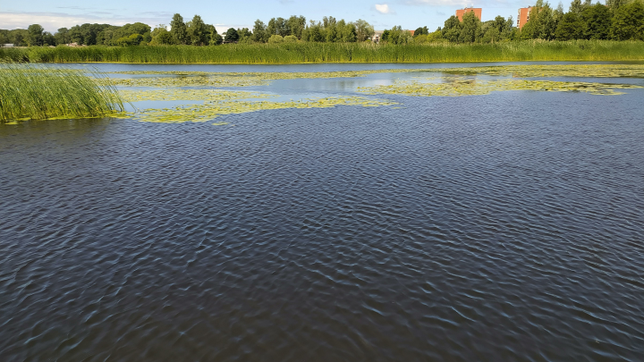 В реке Вага нашли тело пропавшей маленькой девочки
