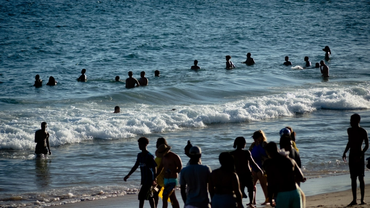 Чем опасен Санитар моря: Океанолог о таинственном змее Чёрного моря