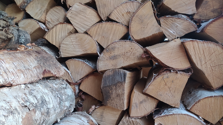 Это шутка?: Счёт за газ заставил немецкого пенсионера пустить свой сад на дрова