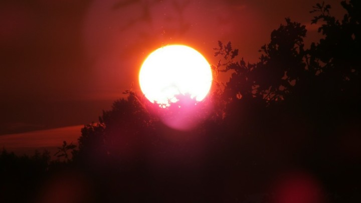 Неделя закончится аномальной жарой: Прогноз Гидрометцентра