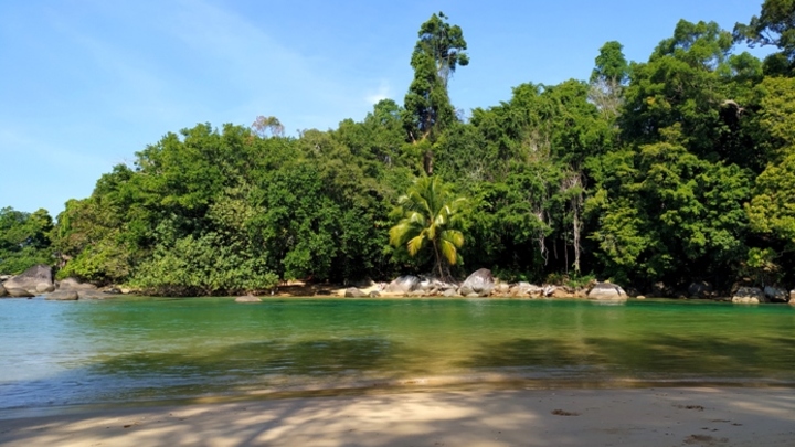 Президент Колумбии: в джунглях нашли живыми четырех детей спустя 40 дней после крушения самолета