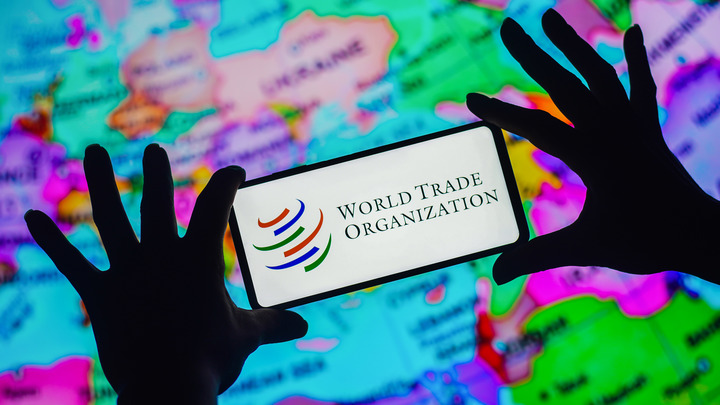 Вскрылась тайная миссия МВФ и ВТО: Миру угрожает глобальная сегрегация